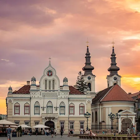 1st Nest In Heart Of