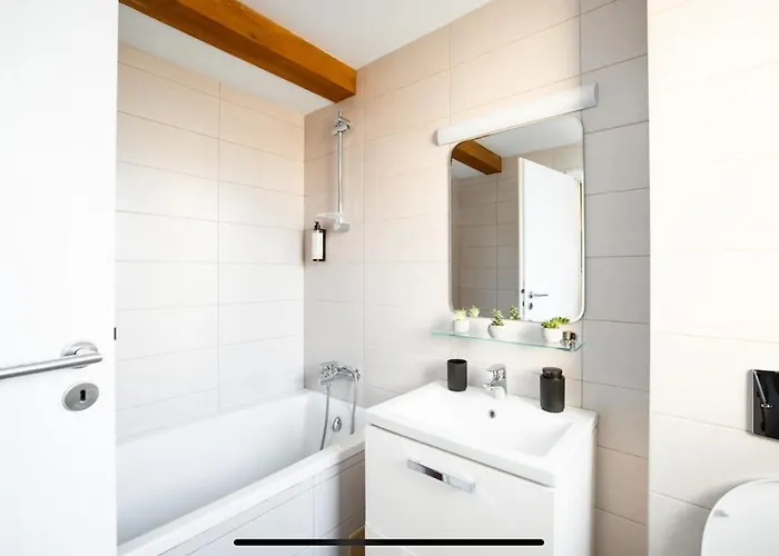 1st Nest In Heart Of Timişoara