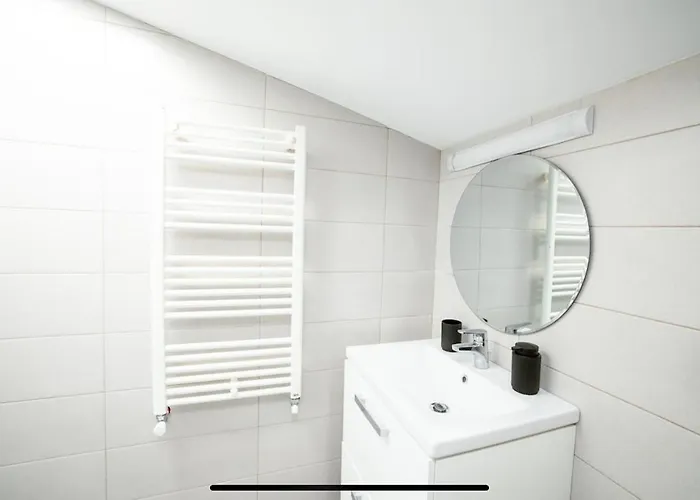 1st Nest In Heart Of * Timişoara